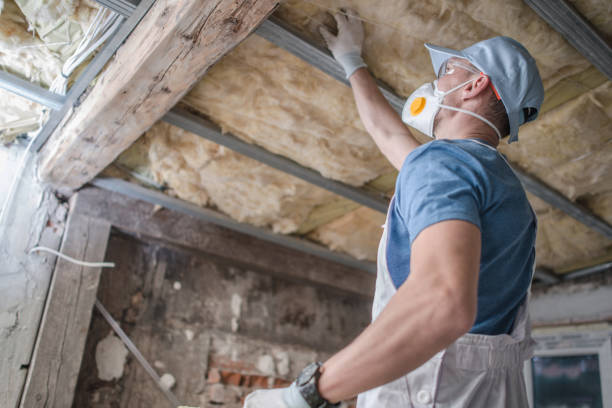 Types of Insulation We Offer in Como, MS