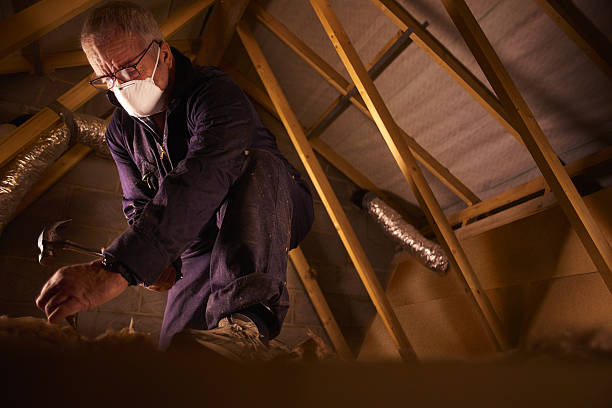 Best DIY Insulation Kits and Guidance in Como, MS