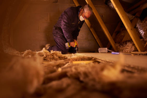 Professional Insulation Contractor in Como, MS